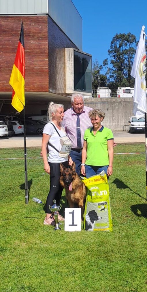 Championnat du Portugal 2025