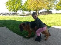 CHIOT